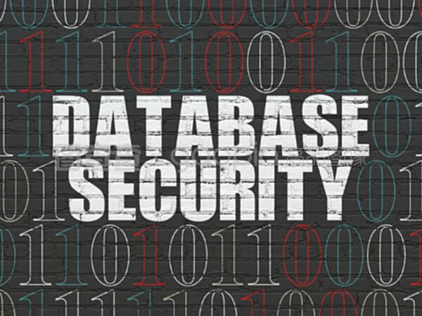 Wall背景下的軟件概念數(shù)據(jù)庫安全性 網(wǎng)絡與信息安全軟件開發(fā)策略